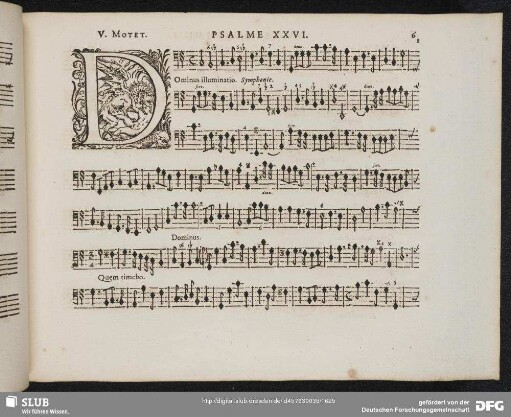 XIII. Dominus illuminatio mea