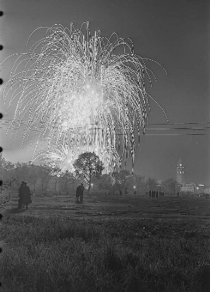 Dresden. Feuerwerk zur Vogelwiese