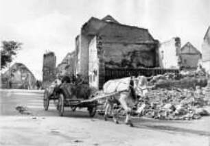 Arbeitsmaid des Reichsarbeitsdienstes auf einem Ochsengespann im evakuierten und zerstörten Haltingen am Westwall