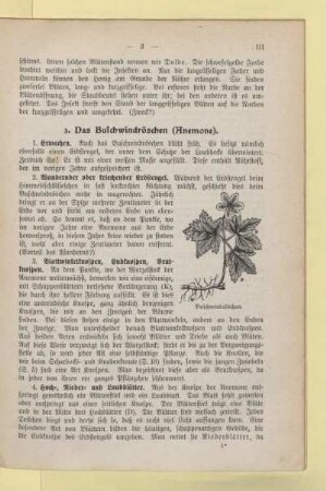 Naturgeschichte