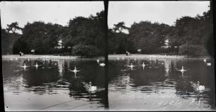 Paris. Bois de Boulogne. Jardin d'Acclimatation