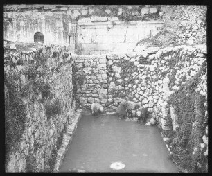 Siloahteich [Jerusalem]