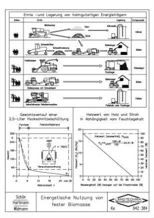 Energetische Nutzung von fester Biomasse