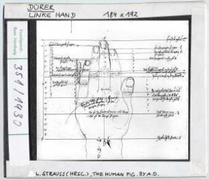 Albrecht Dürer: Linke Hand (neu gerahmtes Altdia)