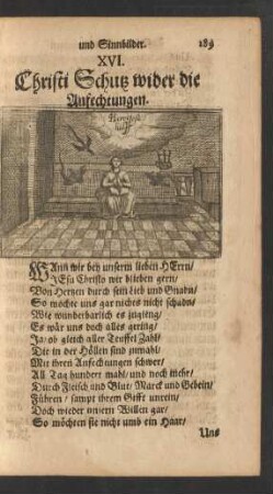 XVI. Christi Schutz wider die Anfechtungen.