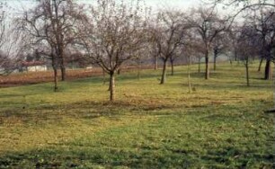 Albershausen