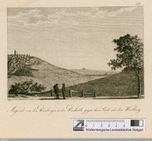 Aussicht von den Weinbergen in der Weishalde gegen die Stadt und den Wartberg