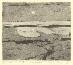 Groß Zicker mit Mond