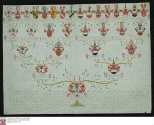 Ahnenprobe des Georg Carl Adam v. Hirschberg. - ausgefertigt Deutsch Orden 1740 April 19, Friedberg 1749 August 5, Pergament