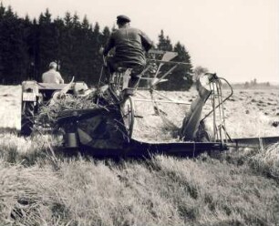 Fotografie: Getreideernte, Getreideerntetechnik, Bindemäher, Standardtraktor