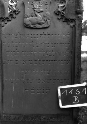 Grabstein 1161 (Index: 100104286) Material: Sandstein Zustand: gut erhalten, nur im Bogenbereich leicht verwittert Maße HxBxT: 170x70x18 cm Beschreibung: Stele mit Rundbogenabschluss, Verdachung, Schriftfeld eingetieft, im Bogenfeld Maßwerk (Rundbogenfries), darunter aufgesetztes Wappen mit Hirsch, drei Laubbäumen und Krone Symbolik: Wappen, Hirsch, drei Laubbäume, Krone, Rundbogenfries: Grabstein 1161B