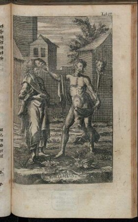 Tab. 17. Momus