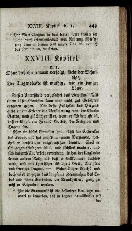 XXVIII. Kapitel.