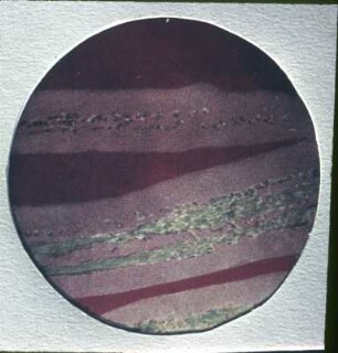 Clostridium perfringens, Wuchsform 1 Traubenzuckerblutagarplatte 1:1