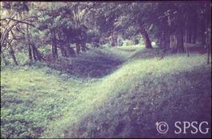Nieborow.
