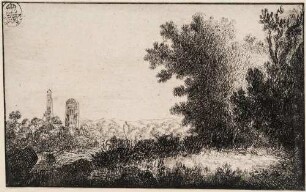 Landschaft