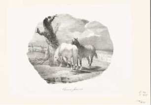 Chevaux flamands, Blatt 9 der Folge "Etudes de Chevaux Lithographies"