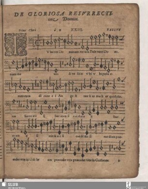 XXIII. Tulerunt Dominum meum