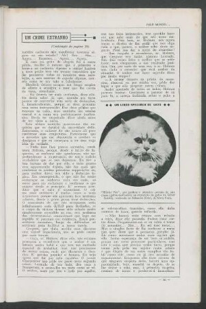 Um lindo specimen de gato : "Winter Pax"
