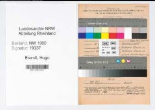 Entnazifizierung Hugo Brandt, geb. 30.10.1907 (Beamter)