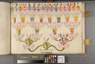 Proband: Plettenberg, Ferdinand Joseph Graf von; Vater: Plettenberg, Bernhard Wilhelm Graf von; Mutter: Westerholt, Anna Sophia Gräfin von: Westfalen, Hzgtm, Ritterschaft