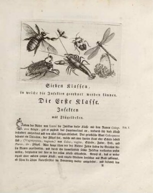 Sieben Klassen, in welche die Insekten geordnet werden können. Die Erste Klasse. Insekten mit Flügeldeken.