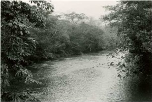 Galeriewaldstreifen am Rio São José dos Dourados : 5,28 km von Santo Antônio entfernt, Höhe: 330 m