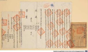 Chongqing zhen yuan tang wen shu - BSB Cod.sin. 2960