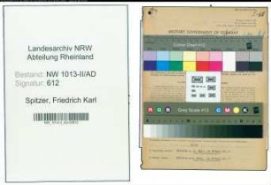 Entnazifizierung Friedrich Karl Spitzer , geb. 11.08.1907 (Buchhalter)