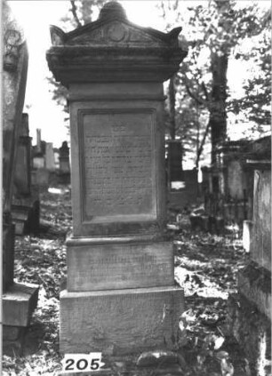 Grabstein 205 (Index: 99899100) Material: Sandstein Zustand: gut erhalten, am Sockel beginnende Verwitterung Maße HxBxT: 172x48x23 cm Beschreibung: aufgesockelte Stele, überkragender Giebelaufsatz mit Akroterien, im Giebelfeld geometrisches Ornament, Giebelaufsatz?, Schriftfeld eingetieft: Grabstein 205