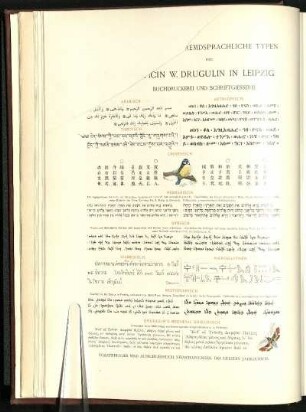[F]remdsprachliche Typen der [Off]icin W. Drugulin in Leipzig, Buchdruckerei und Schriftgiesserei