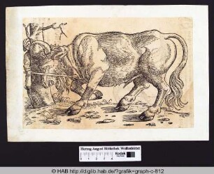 Ein Stier beim Angriff auf einen Mann, der sich, hinter einem Baum stehend, mit einem Speer verteidigt