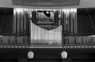 Freiburg: Orgel auf der Empore
