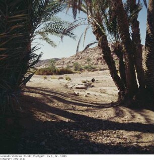Im Mittleren Sinai