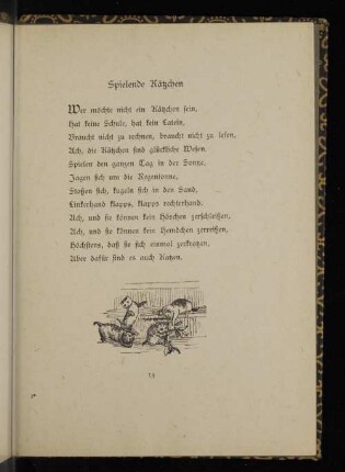 Spielende Kätzchen