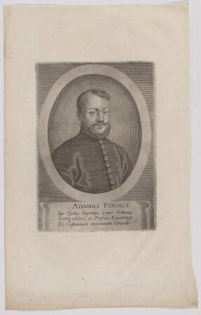 Bildnis des Adam Forgách