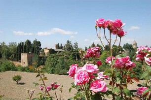 Granada - Burgberg Alhambra : Gartenanlage "Generalife" auf der Alhambra, aufgenommen 2007