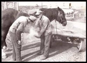 Hufschmiede bei der Arbeit