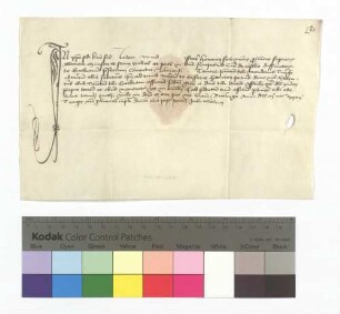Heinrich [Karrer], Provinzial (minister) der Minderbrüder der Provinz Oberdeutschland (superioris Allamaniae), an Bruder Jodokus Wind: Er ernennt ihn mit Rat seiner Definitoren zum Guardian des Konvents Ulm (Vlmensi).