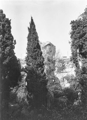 Zypresse am Amphitheater : Vegetation und Ruinen am Amphitheater