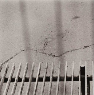 "Yard II" aus der Serie "Passing Time"