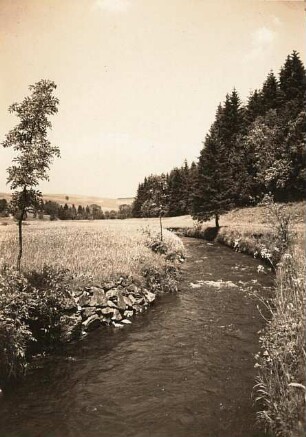 Erzgebirge. Blick ins Flöhatal bei Rauschenbach talaufwärts