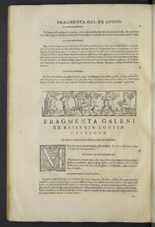 Fragmenta Galeni ex rasis lib. contin. collecta.