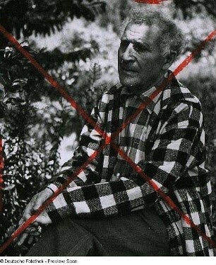 Portraitserie Marc Chagall