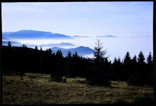 Otten (Berg): vom Otten, mit Nebelmeer über Dreisamtal