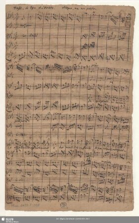 Alfonso. Excerpts - Mus.2477-F-505 : S, strings, bc