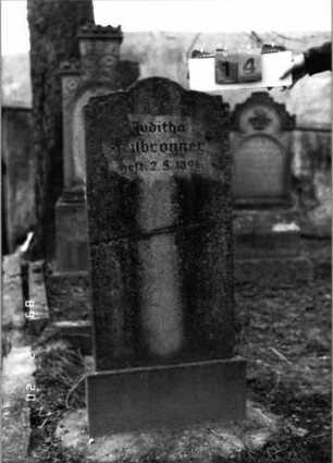 Grabstein 14 (Index: 99798294) Material: Kunststein Zustand: in der Mitte der Stele Bruchstelle Maße HxBxT: 123x50x15 cm Beschreibung: Stele mit mehrfach eingezogenem Bogenabschluß, Sockel: Grabstein 14
