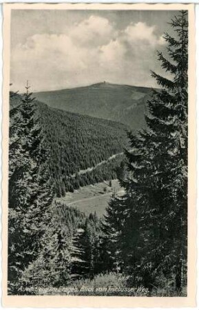 Auersberg. Blick vom Friebuser Weg zum Auersberg