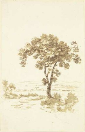 Landschaft mit einem Baum im Vordergrund