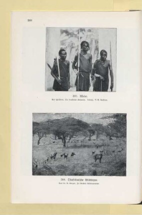 207. Masai